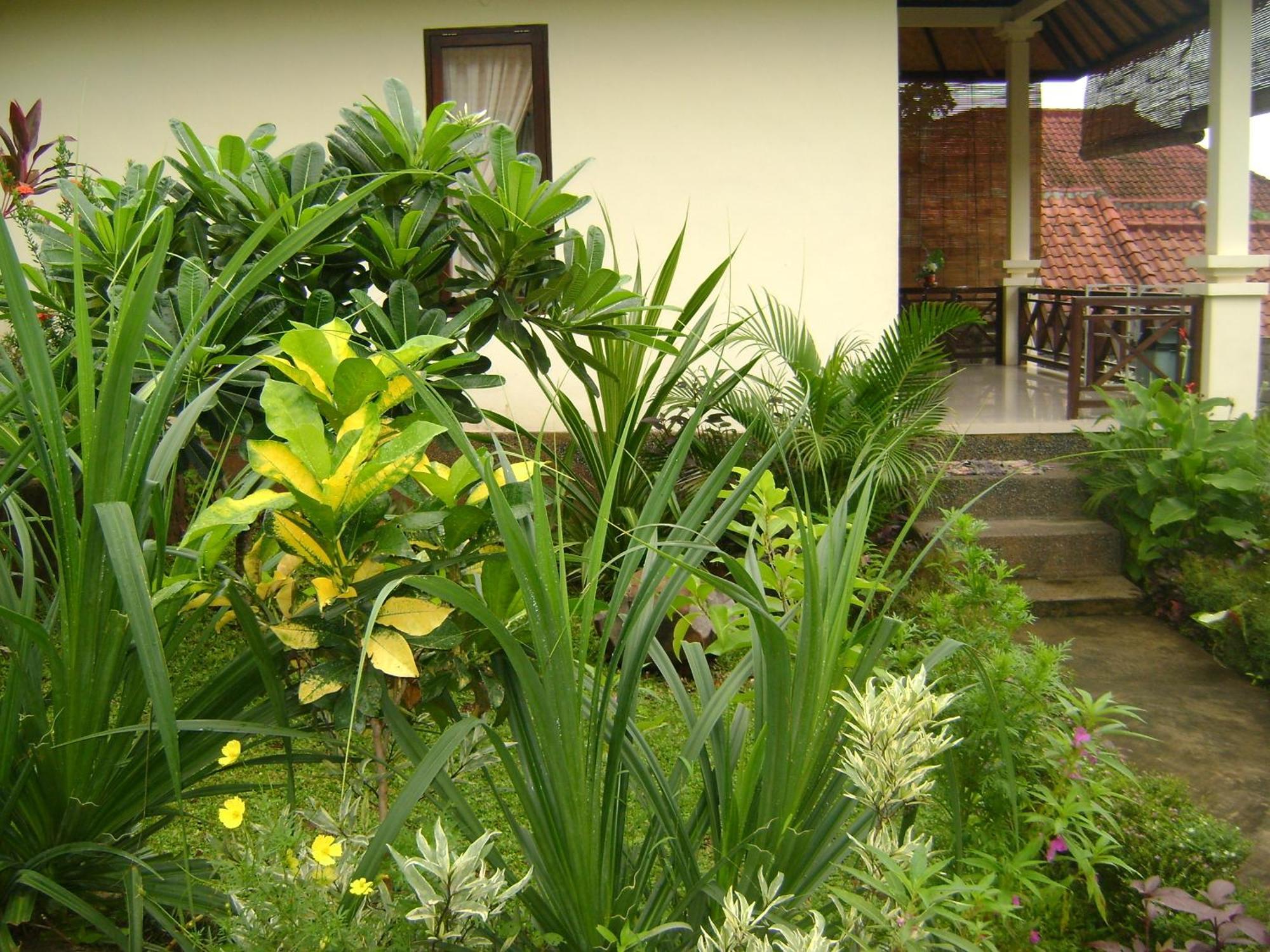 Hotel Sinar Bali 2 à Amed Extérieur photo